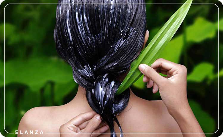روش خانگی از بین بردن چربی موی سر
