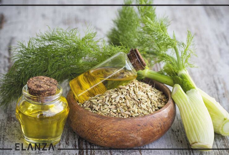 خواص روغن رازیانه برای پوست