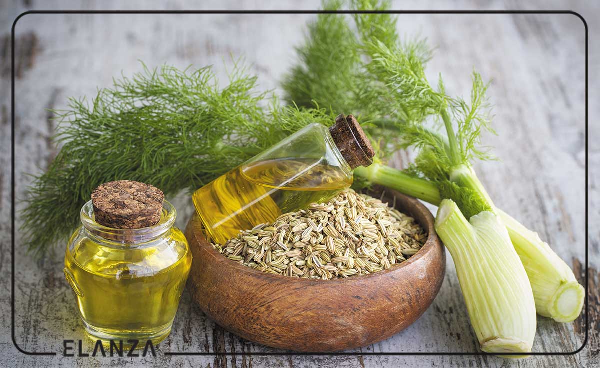 خواص روغن رازیانه برای پوست